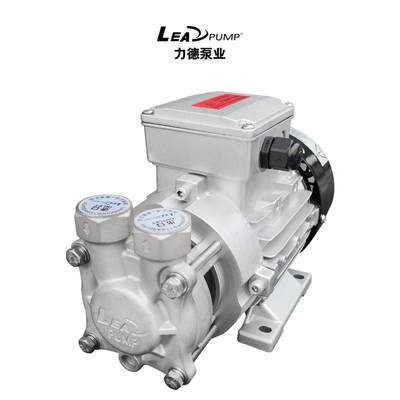LY-2051 小流量导热油泵热水泵 高温泵 微型热油泵 小型模温机泵