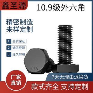 m52外六角螺丝六角螺栓淬火加硬六角头螺丝 10.9级高强度m6
