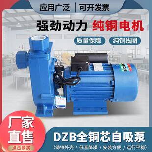 DZB大功率1.5KW自吸泵加强泵供水泵增压泵循环泵 工业级单相WZB
