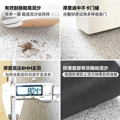 室外大门口丝圈地垫进门入户门垫轻奢防滑蹭土脚垫毯子家用可剪裁