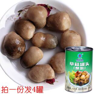 草菇蘑菇食用菌罐头425g*4罐炒菜煲汤凉拌烹饪食材罐装蔬菜包邮