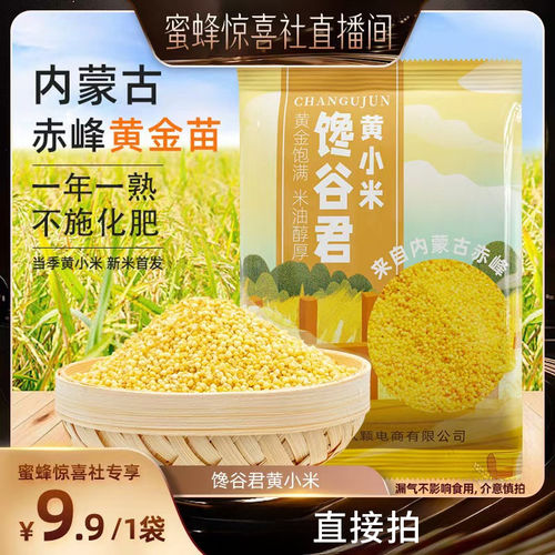 馋谷君内蒙古精选黄小米