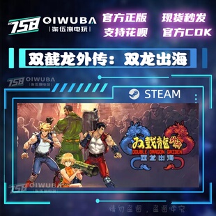 CDK 激活码 国区联机游戏双截龙外传：双龙出海 PC中文steam正版