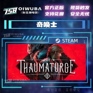 国区RPG游戏 PC中文steam正版 奇唤士 好友礼物现货秒发