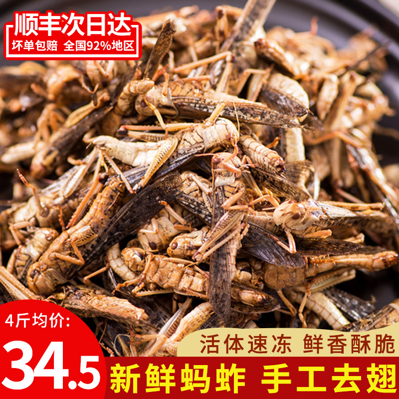 新鲜蚂蚱活体速冻油炸活蚂蚱蝗虫食用昆虫蚱蜢速冻带籽混合去翅膀