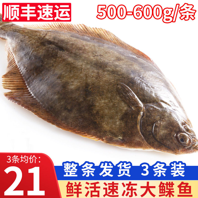 整条鲽鱼新鲜冷冻大号碟鱼深海鲽鱼身鸦片鱼比目鱼商用蝶鱼雅片鱼
