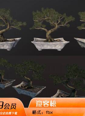 迎客松松树盆栽灌木3d模型fbx建模blender设计unity绿色植物素材