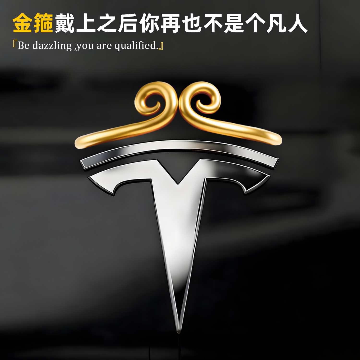 适用于特斯拉车标装饰贴纸