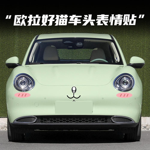 欧拉好猫汽车贴纸车头前脸装饰