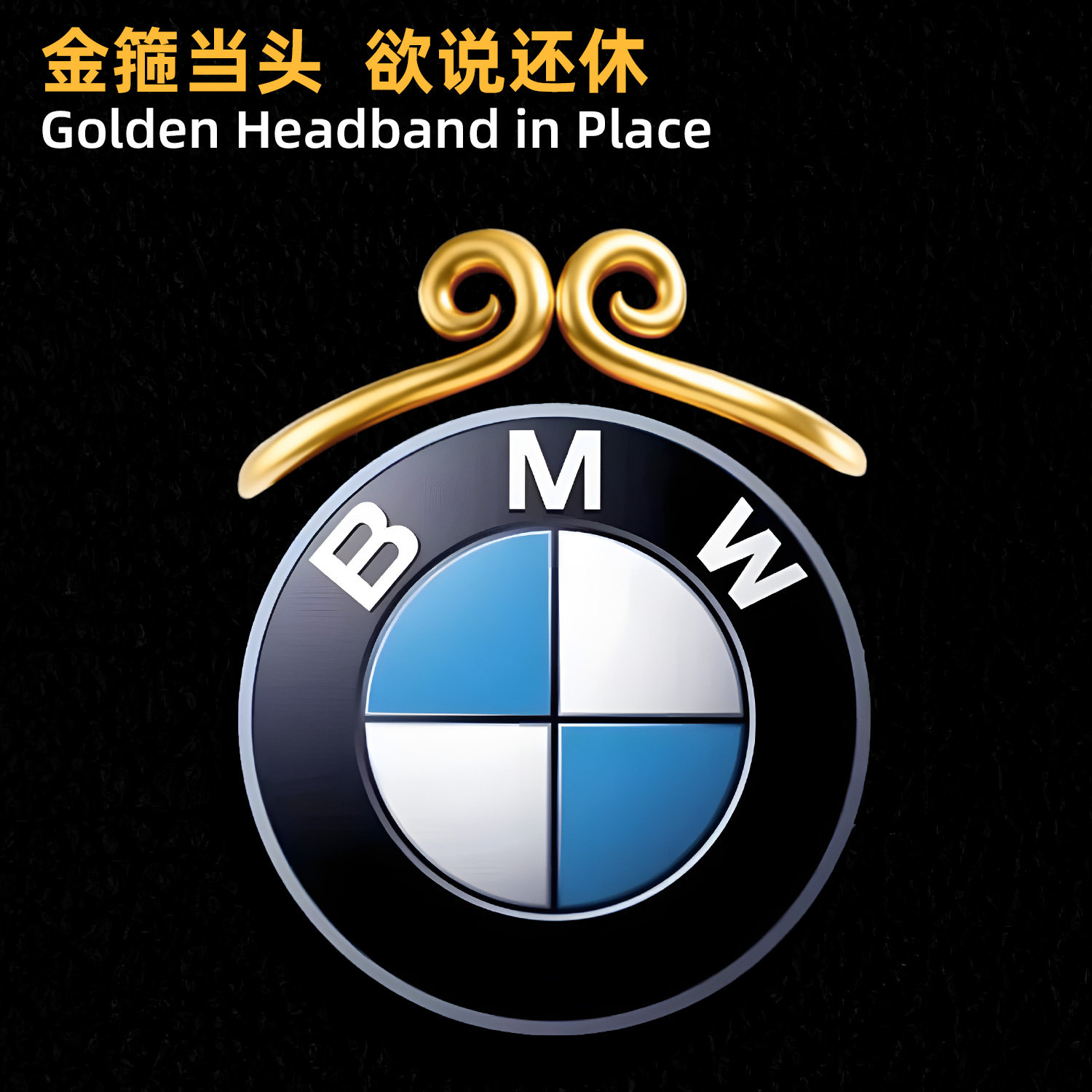 BMW宝马金箍车标装饰贴