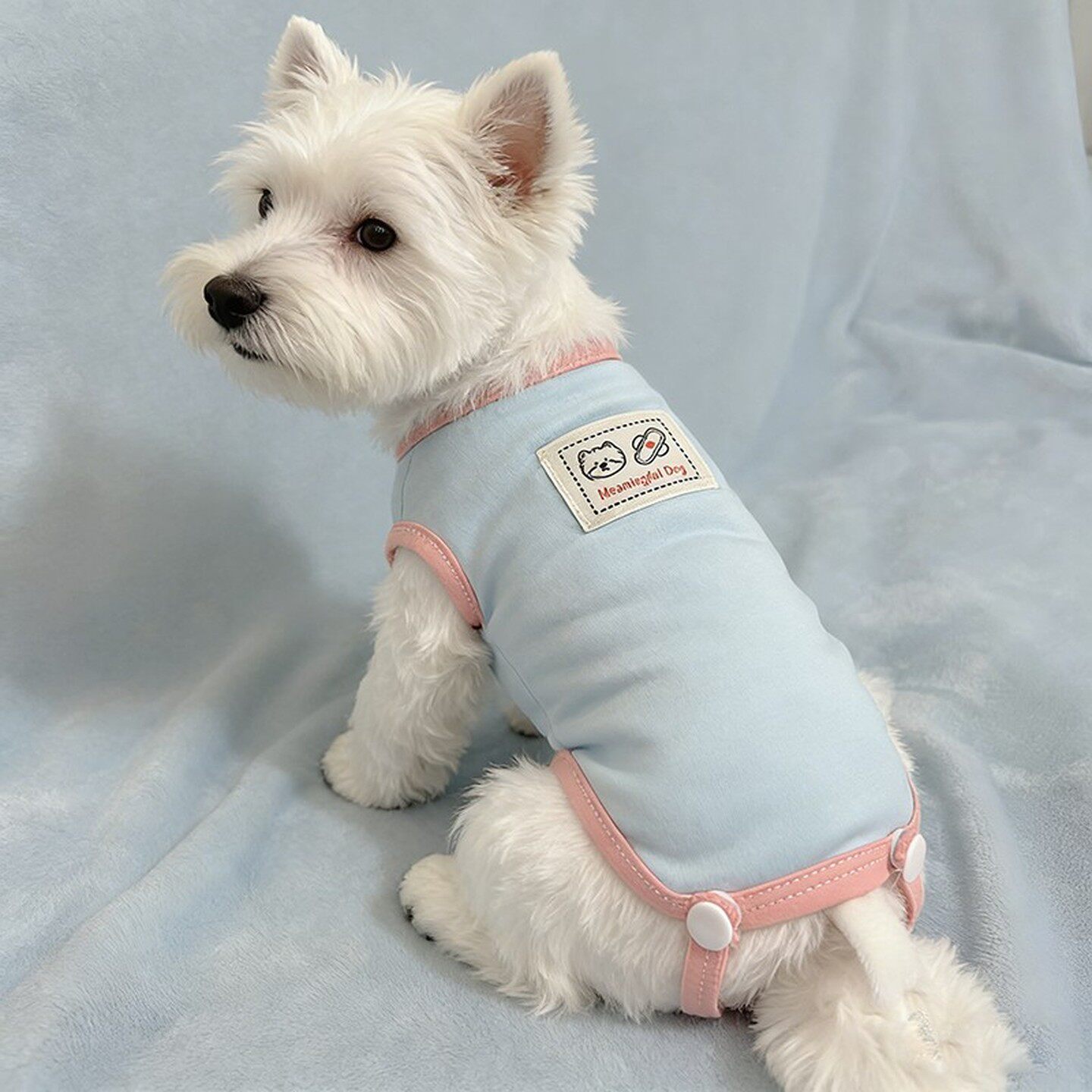 狗狗生理期衣服透气狗狗包护肚衣小型犬比熊法斗西高地居家生理裤