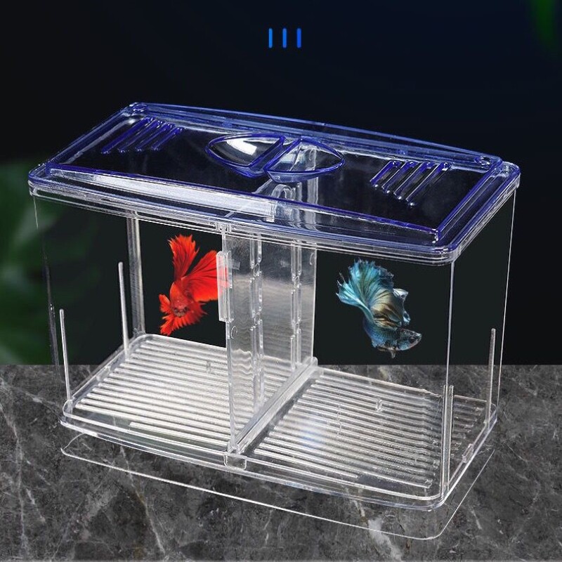 迷你小鱼缸小型水族箱塑料斗鱼缸二合一斗鱼盒隔离盒鱼繁殖盒斗鱼