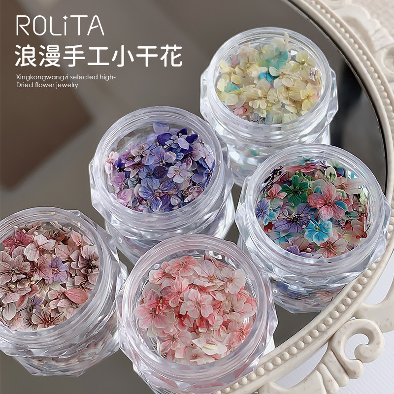 美甲手工干花饰品混装小碎花素材春日莫奈花园彩色五瓣花指甲饰品