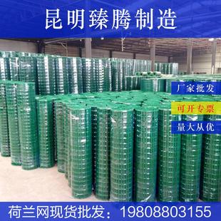 荷兰网园林圈地养鸡荷兰网浸塑圈地养殖网低碳钢丝养殖昆明直供