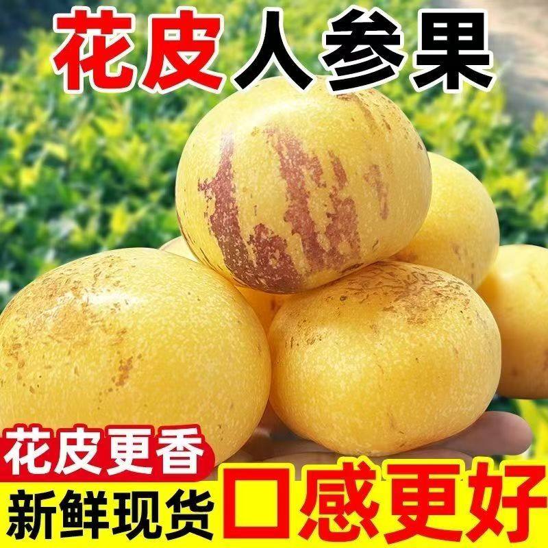【花皮】云南石林人参果黄肉圆果人生果黄心超甜新鲜应季水果