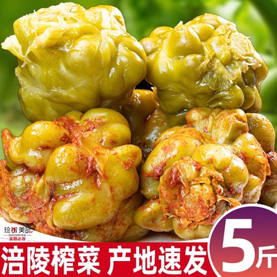 涪陵榨菜头整箱批商用发泡菜疙瘩咸菜四川正宗新鲜五香官方旗舰店