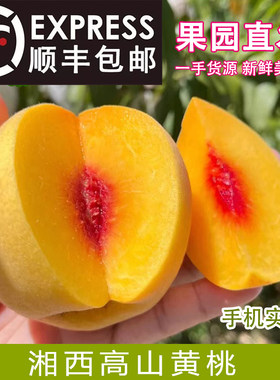 高山锦绣黄桃现摘现发鲜甜多汁