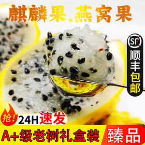 海南现摘黄金白心燕窝果应季热带新鲜麒麟果黄皮整箱礼盒顺丰包邮