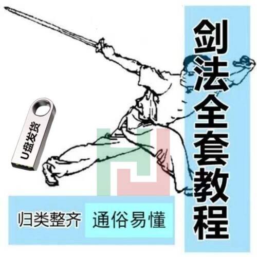 武当剑视频教程剑法剑术入门剑谱自学初学教太极剑64G优盘