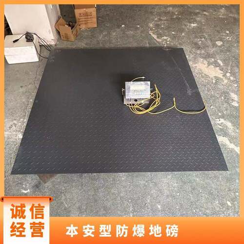 -山东1.SCS-EX-35x1.5m防暴电子秤爆 CS-EX3T 分度值0.5kg 本安型