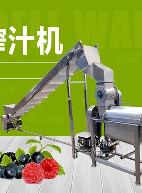 用红薯破洋榨汁机 鲜姜洋姜葱粉碎XVT商榨汁机 黄精大蒜碎榨汁机