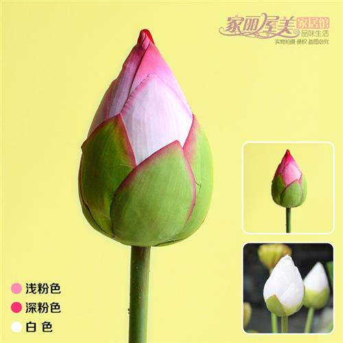 速发带杆禅枝白荷花苞莲花花骨朵落地花蕾清新真色长意佛花
