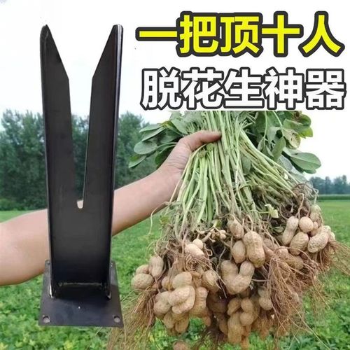 速发摘花生神器家用脱花生神器摘拔摘毛豆农果工具人懒采摘花生摘