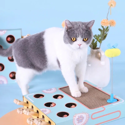 速发 y Chase Hut Mouse  Ga Box  i 1 with Scratcher