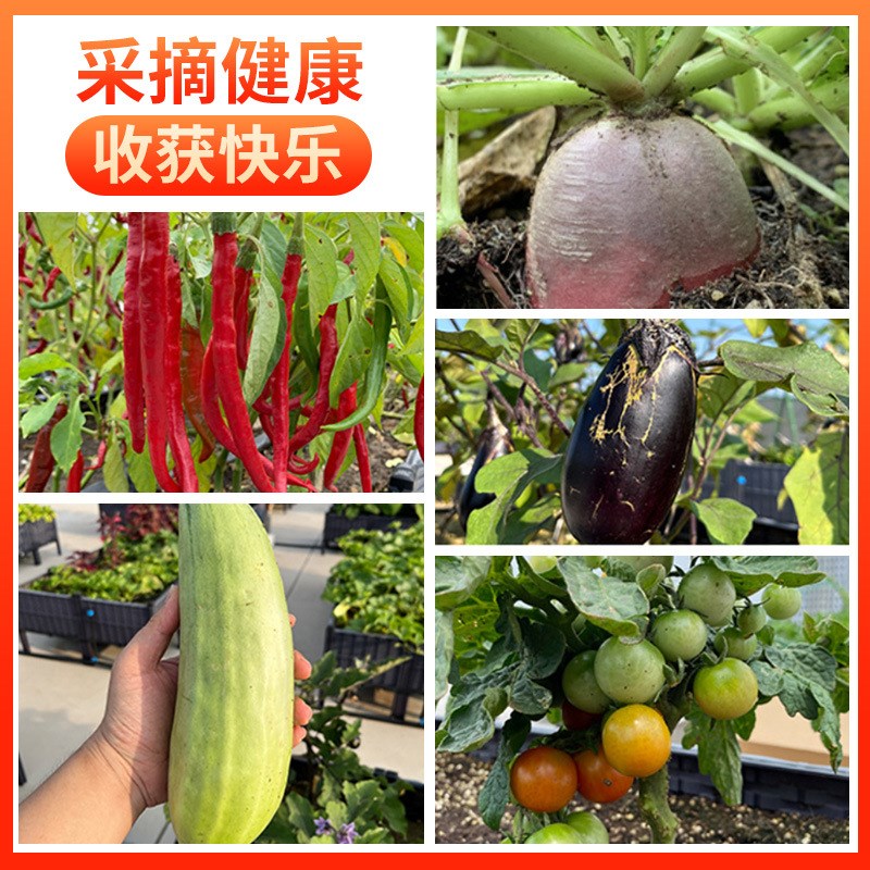 速发带轮种形箱长方植家花台种菜专用神器特大塑料庭盆家用花箱户