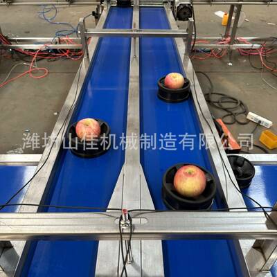 哈糖密瓜FUA分选机 无损测选果机多 别称重梨子分选机 凤级梨分级