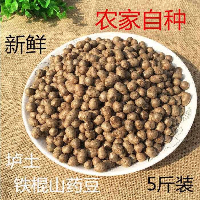 铁棍山药豆新鲜焦作温县垆土山药蛋豆 怀铁棍旦5斤装