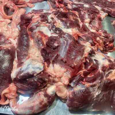 新鲜生骡马肉带皮鲜现杀散装真空马肉整只火烧非驴肉非调理肉