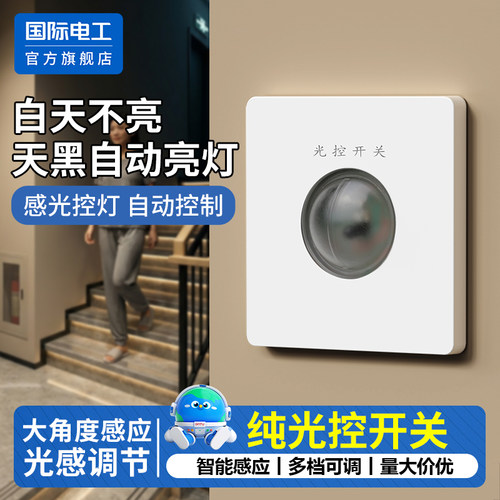国际电工官方正品纯光控开关