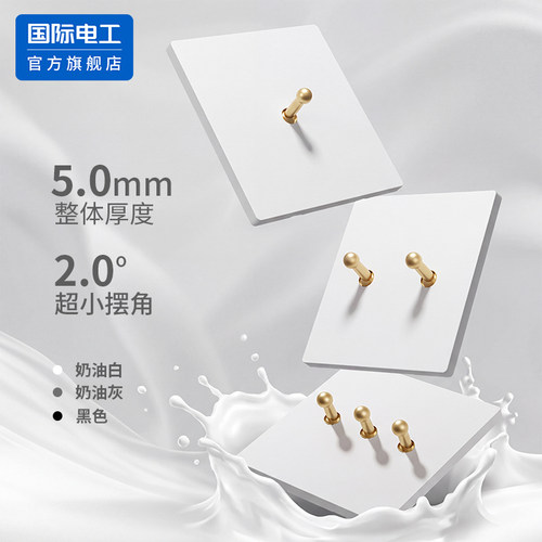 国际电工官方正品拨杆开关插座