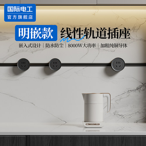 国际电工官方正品线性轨道插座