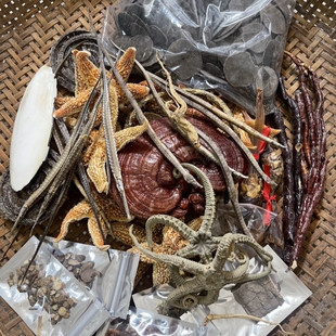 北海海宝泡酒料1000克滋补养生锁阳去湿海洋泡酒材料十全大补药酒