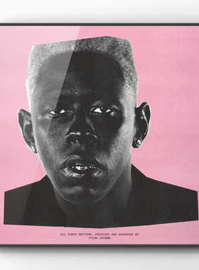 tylerthecreator 周边专辑装饰画卧室客厅说唱嘻哈rapper高级感挂