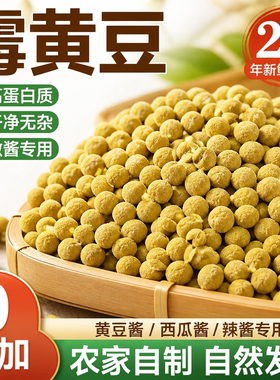 农家传统自然发酵无添加霉豆子