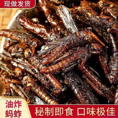 全网热销100万袋农家油蚂蚱即食