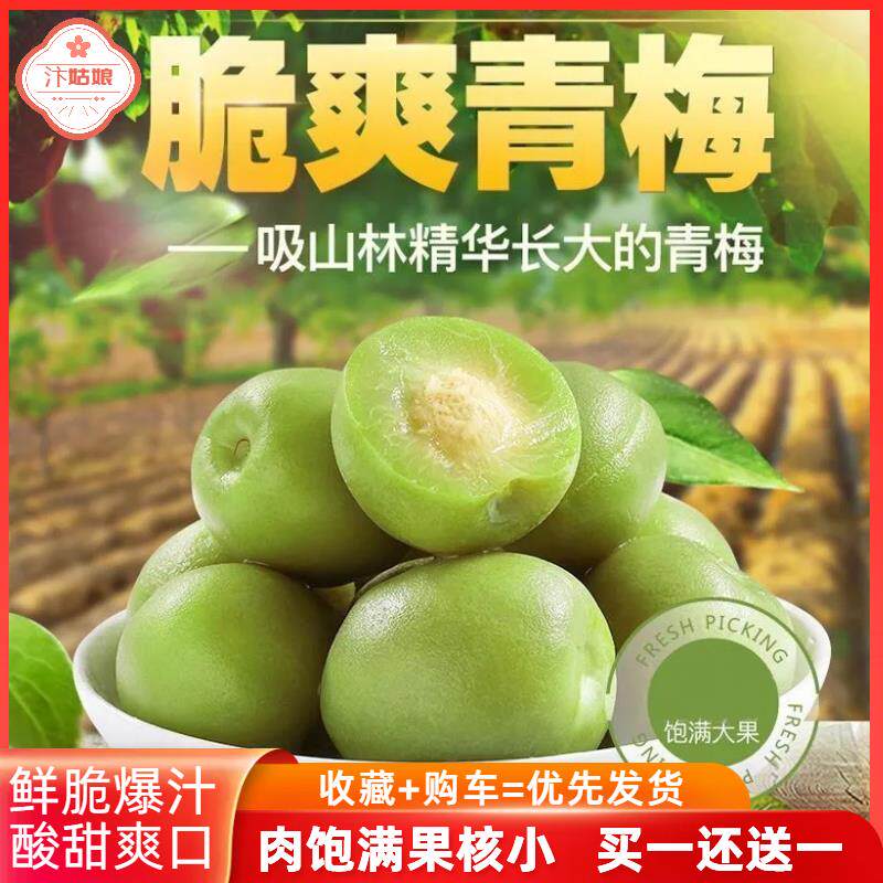脆青梅青口梅青梅酸脆梅独