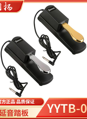 润扬延音踏板 电子琴脚踏板电钢琴MIDI键盘合成器通用踏板YYTB-01