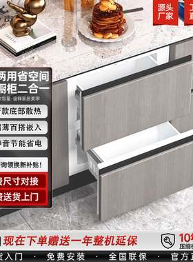 抽屉式小冰箱68L嵌入式内嵌橱柜隐藏卧式家用零嵌全嵌立式冷冻柜