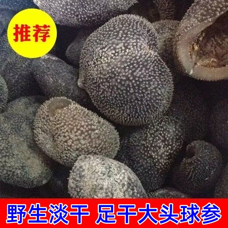 越南纯淡干黑球参厚肉野生海参印尼淡干进口乌元球参干货500g包邮