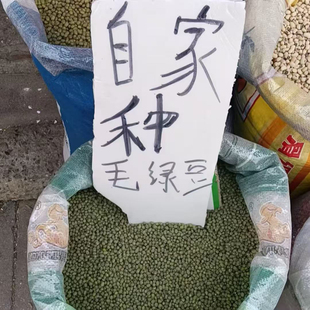 农家自种老式 老品种绿豆 笨绿豆沙糯毛绿豆熬粥 老人坚持种