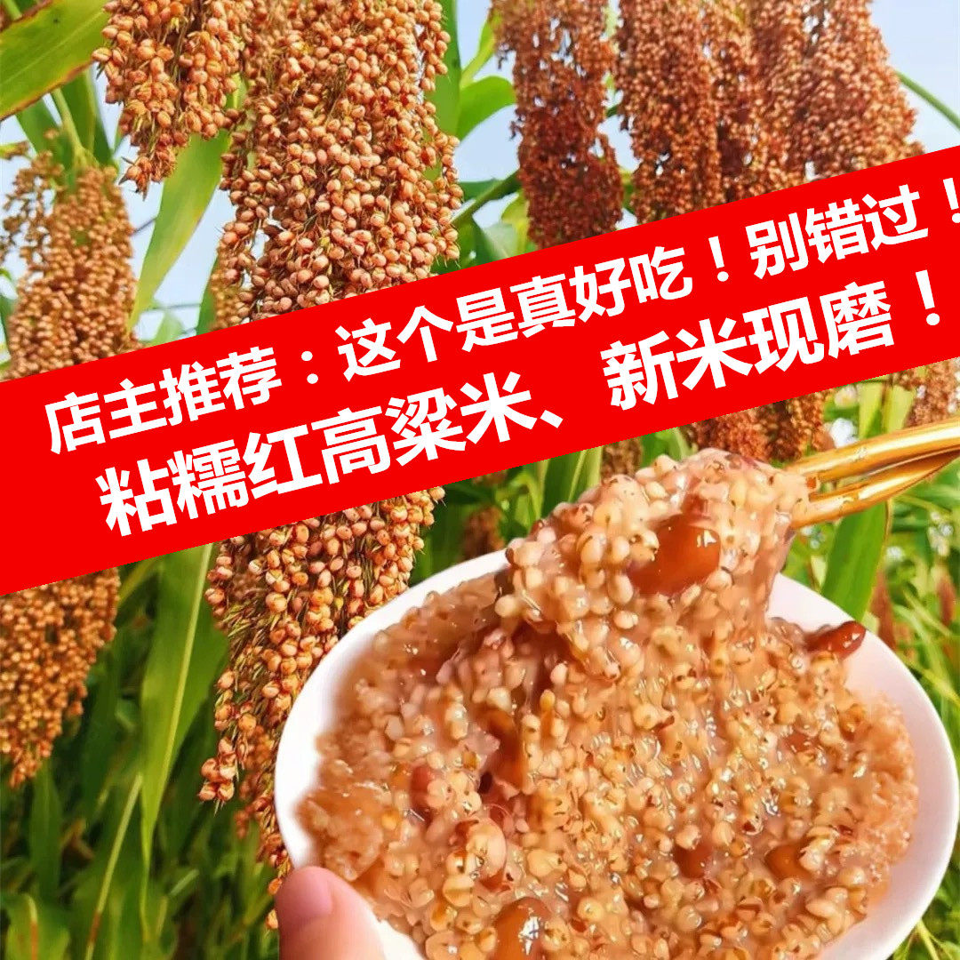 （真心推荐您真的很好吃）农家自种高粱米粘高粱包粽子熬粥杂粮粥
