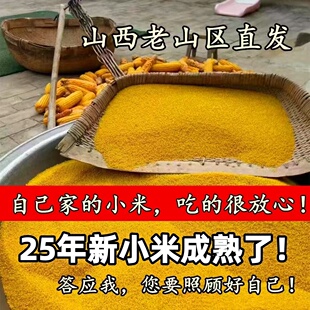 （爷爷奶奶坚持种的老小米）山西农家自种新小米老式石碾米月子米
