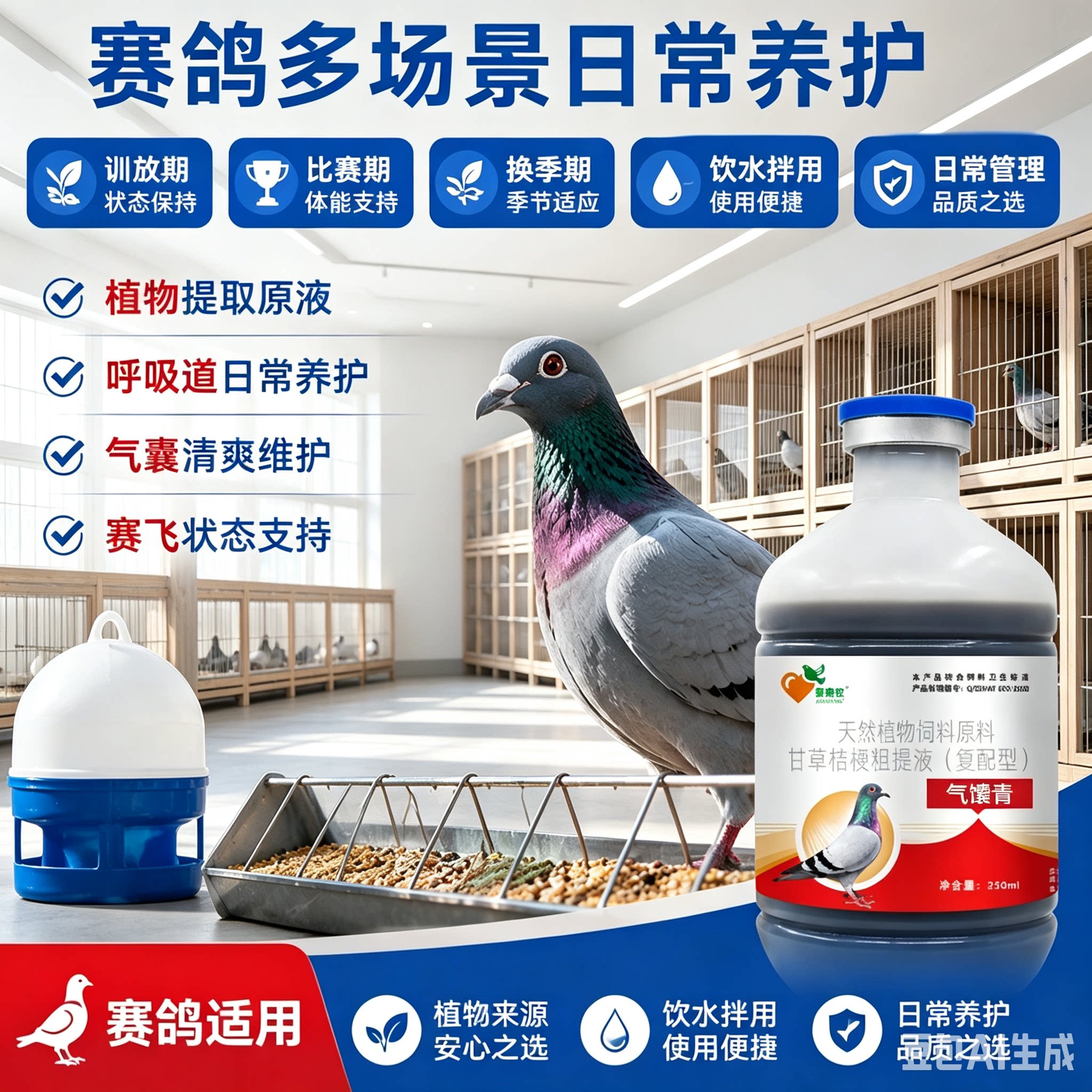 赛鸽信鸽单眼伤风流泪呼吸不畅改善家飞鸽子飞得高久远