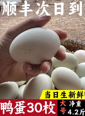 发顺丰【散养土鸭蛋】新鲜生鸭蛋整箱正宗农村麻鸭蛋非海鸭蛋广西