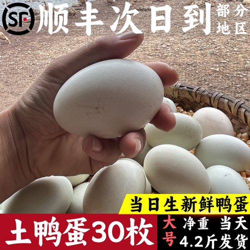 农家散养土鸭蛋顺丰快递