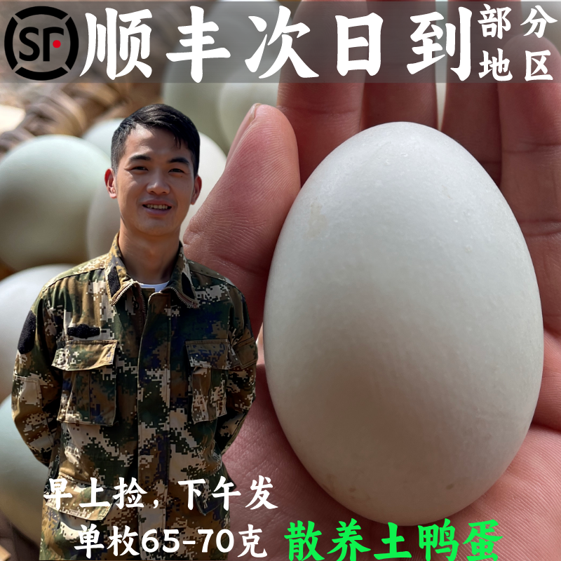 农家散养土鸭蛋新鲜生鸭蛋正宗散养麻鸭子蛋广西水库放养鸭蛋顺丰